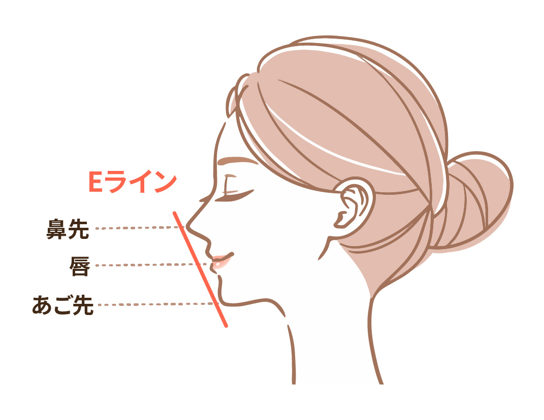 E（エステティック）ライン